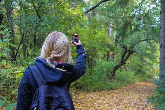 Mädchen mit Rucksack steht mit Rücken zum Betrachter auf einem Waldweg und sucht mit Hilfe ihres Smartphones den Weg